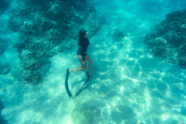 Full Day Boat Diving Ras Mohamed National Park White Island