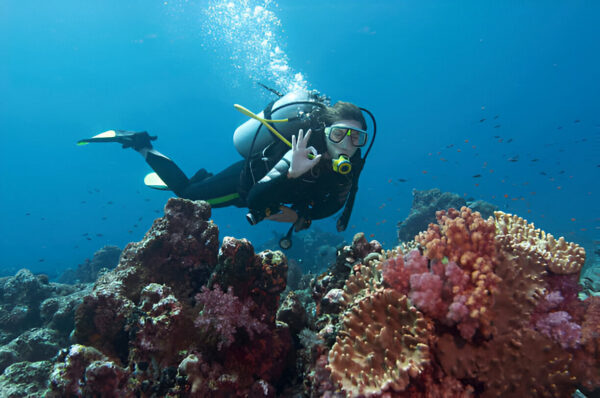 PADI Open Water Divers Course (3-4 days)