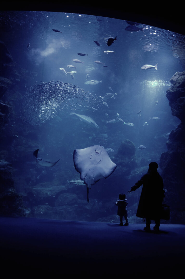 mother-son-aquarium